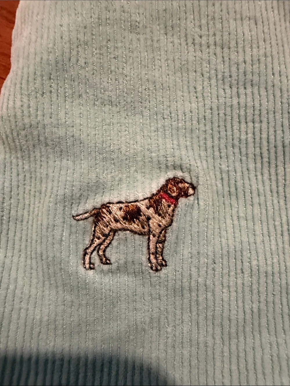 Ralph Lauren corduroy skirt dogs size 6x little girls